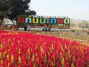 แก่นมะกรูด  อุทัยธานี​