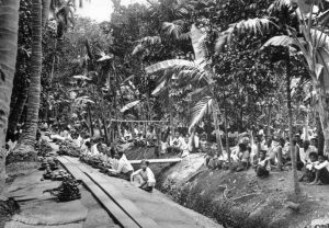 gplus3321967388104321774