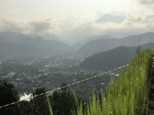 IMG_E3239