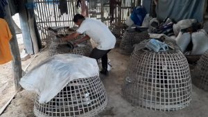 พะเยา2 ช่างฟอร์นิเจอร์ผันตัวทำเกษตรผสมผสา_12