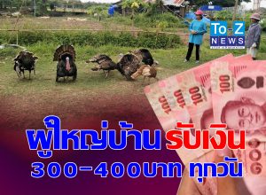 รับเงิน T
